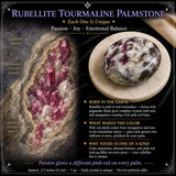 Rubellite Tourmaline Pálmasteinn