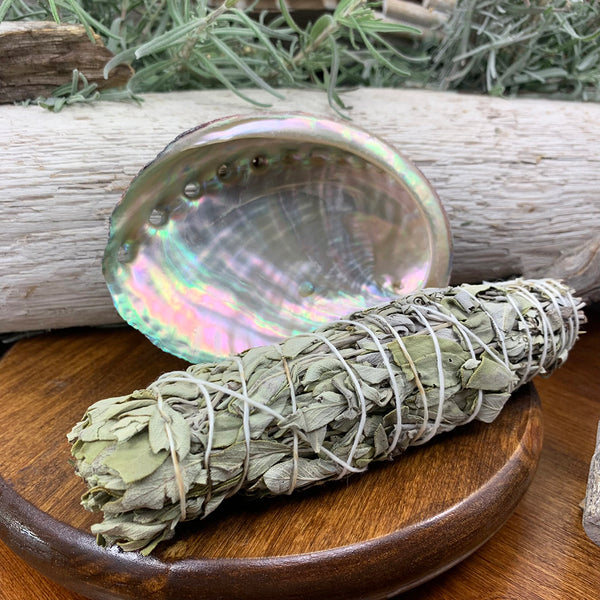 Smudge Kit: White Sage (6-ιντσών) + Abalone Shell