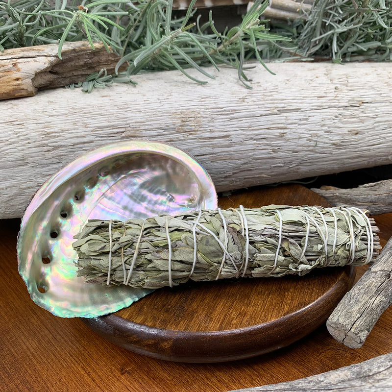 Smudge Kit: White Sage (6-tums) + Abalone Shell