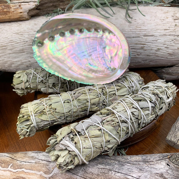 Smudge Kit: White Sage (6-ιντσών) + Abalone Shell