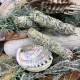 Smudge Kit: White Sage (6-tums) + Abalone Shell