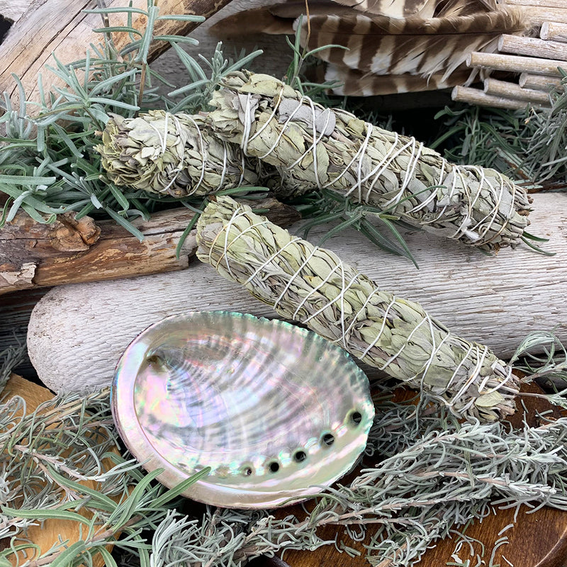 Smudge Kit: White Sage (6-ιντσών) + Abalone Shell