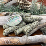 Smudge Kit: White Sage (6-Inch) + Abalone Shell