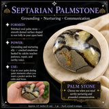 Piedra de palma septaria
