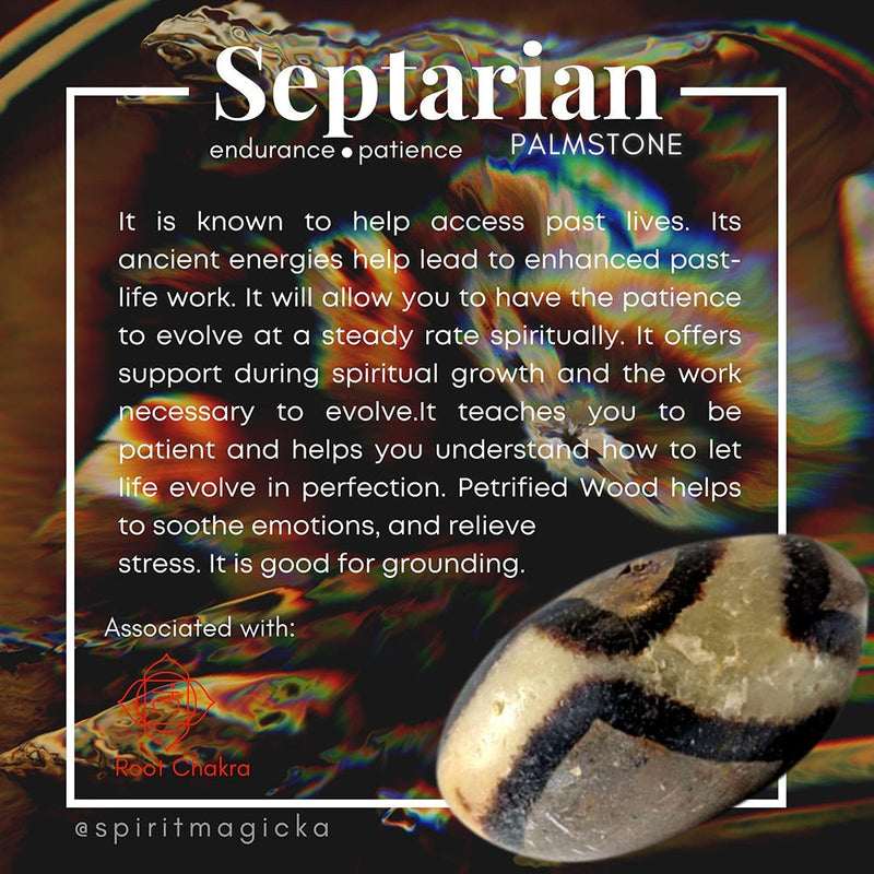 Septarian Palmstone - palmstone