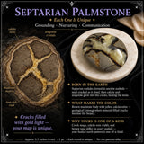 Piedra de palma septaria