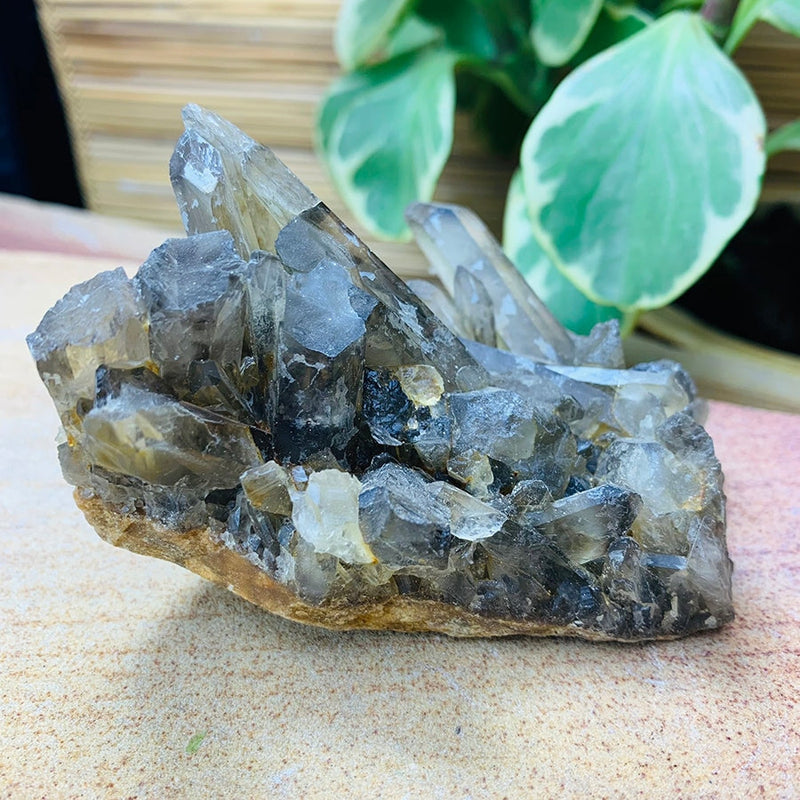 Copy of Smoky Quartz Cluster - clustergeode