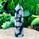 ZZZZ Nancy NEW Working on Snowflake Obsidian Point - wand