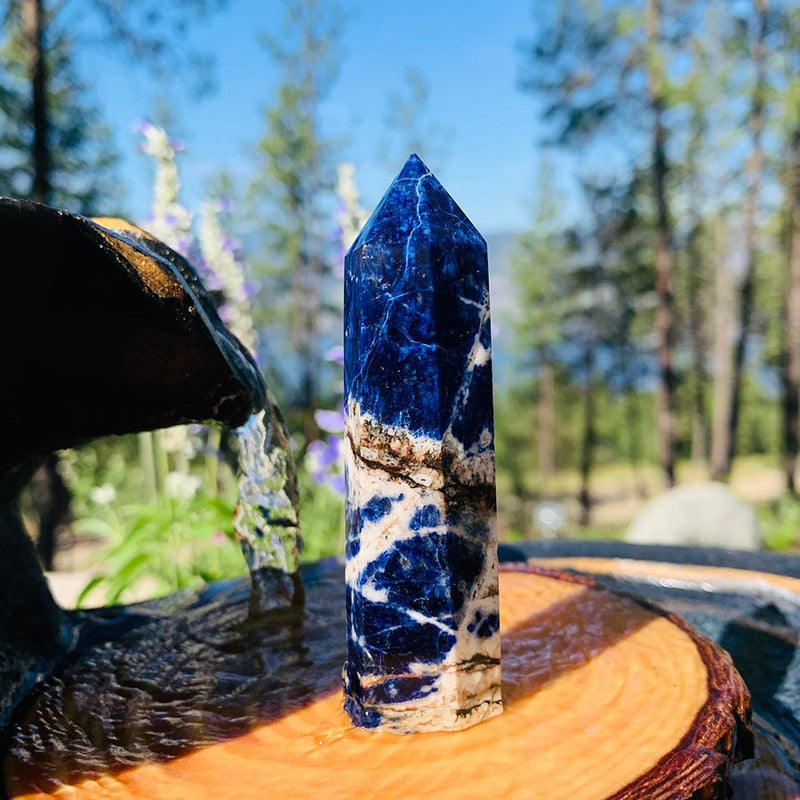 Sodalite Wand - wand