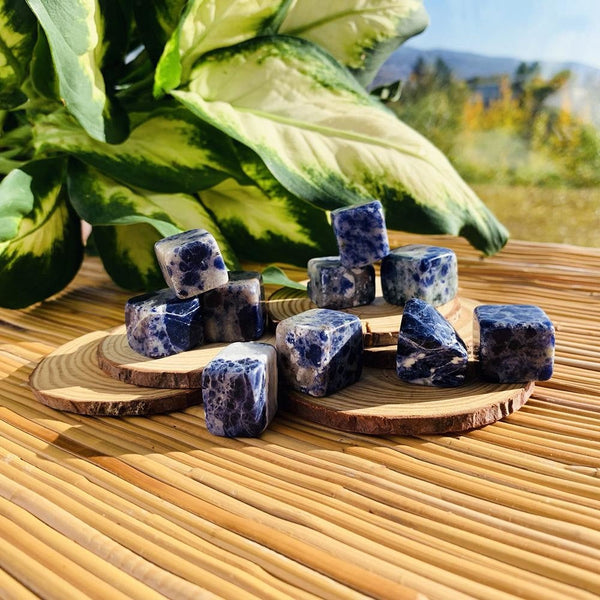 Sodalite Tumbled Stone Set of 12 - tumbledstone