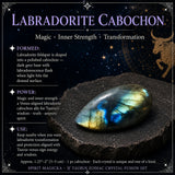 ♉ Taurus - 20 april - 20 maj - Zodiac Crystal Fusion Set med påse