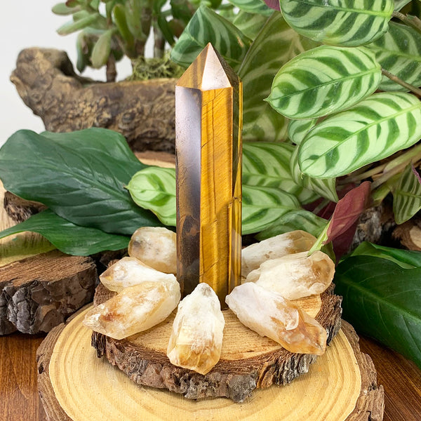 8-Piece Tiger's Eye + Citrine Set