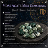 ♍ Virgo - 23 Αυγούστου - 22 Σεπτεμβρίου - Zodiac Crystal Fusion Σετ με θήκη