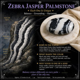 Palmeira lápis-lazúli