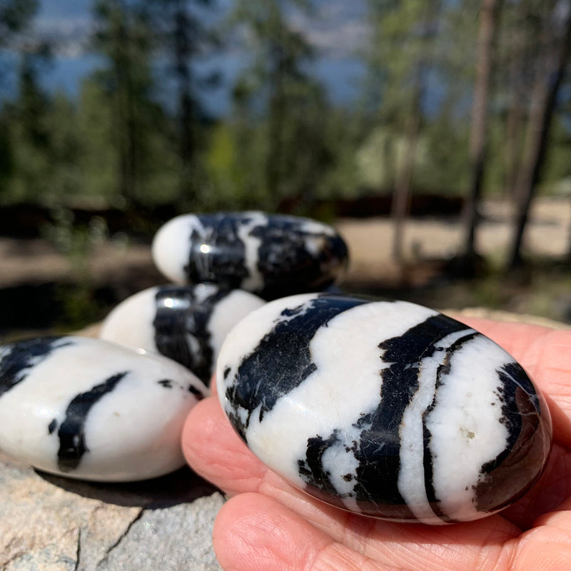 Lapis Lazuli Palmstone