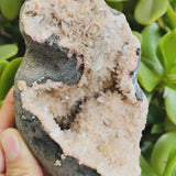 Stor (1,08 lbs) Zeolite Geode (Artikel #0018)