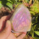 Purple Flash Labradorite Freeform (Artikel #0098)