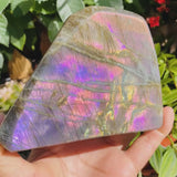 Large (1,63 lbs.) Purple Flash Labradorite Freeform (Artikel #1003)