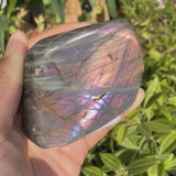 Purple Flash Labradorite Freeform (Είδος #0096)