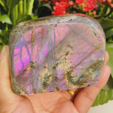 Large (1,04lbs.) Purple Flash Labradorite Freeform (Artikel #0093)