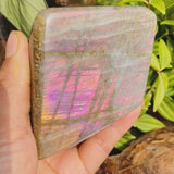 Μεγάλο (0,75 λίβρες) Μωβ Flash Labradorite Freeform (Είδος #0092)